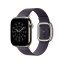 Apple Watch 42mm řemínek s karamelovým magnetickým tahem Modern Buckle - L