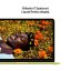 MacBook Neo 13" A18P 6C CPU/5C GPU/8G/512GB SSD - citrusově žlutý