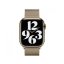 Apple Watch 41mm Zlatý milánský tah