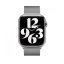 Apple Watch 45mm Stříbrný milánský tah
