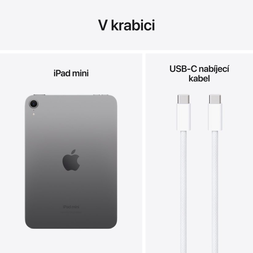 Apple iPad mini 256GB vesmírně šedá 2024
