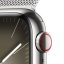 Apple Watch Series 9 Cellular 41mm Stříbrný nerez se stříbrným milánským tahem