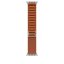 Apple Watch 49mm Terra Cotta Alpine - M