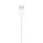 Apple USB kabel s konektorem Lightning (1 m)
