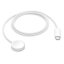 Apple Magnetický rychlonabíjecí USB-C kabel k Apple Watch (1 m)