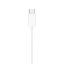 Apple EarPods (USB-C)