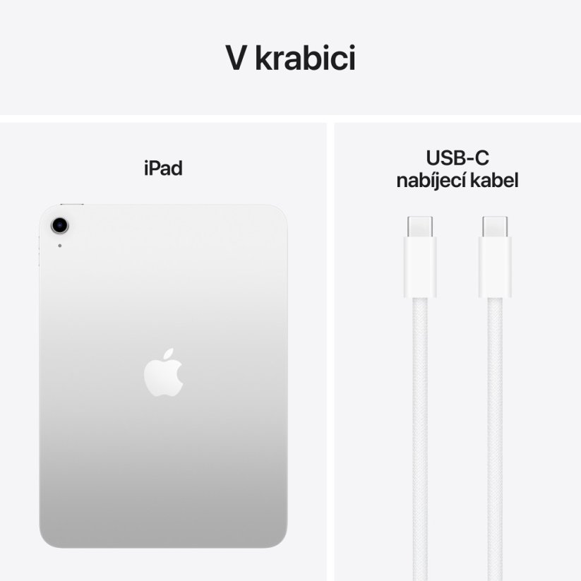 Apple iPad 11″ Wi-Fi 256GB - stříbrný
