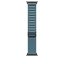 Apple Watch 49mm jasně modrý alpský tah - S